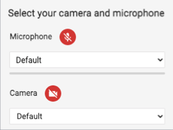 Select your camera and microphone window with microphone and webcam off