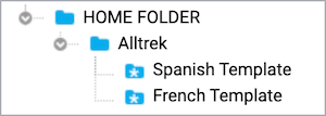 Language Template Folders within company folder